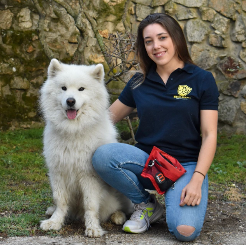 expertos en adiestramiento canino